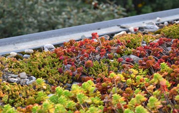 the cost of Holbeach St Matthew green roof installation