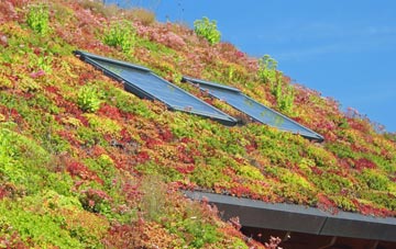 Holbeach St Matthew living roof systems