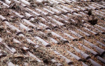 Holbeach St Matthew roof cleaning companies